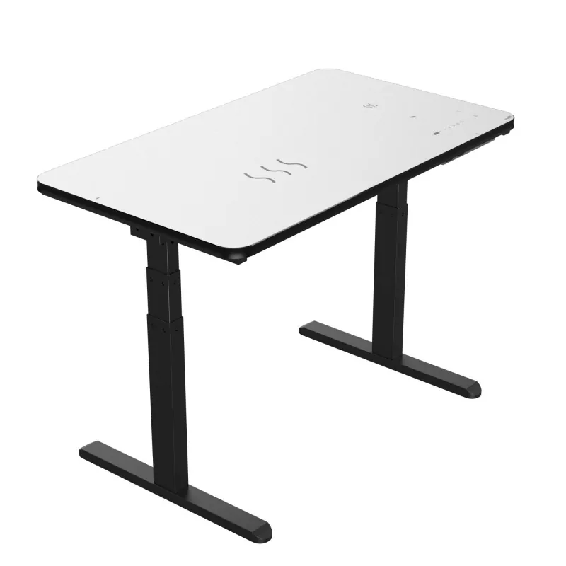 Black Glass Board Dual Motor Electric Lifting Table Black Glass Board Dual Motor Electric Lifting Table